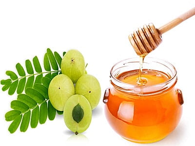 Honey with Amla ( Nelli)