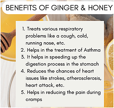 Ginger Honey Ginger Honey