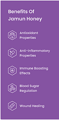 Jamun Honey (Naval / Bitter) Jamun Honey (Naval / Bitter)